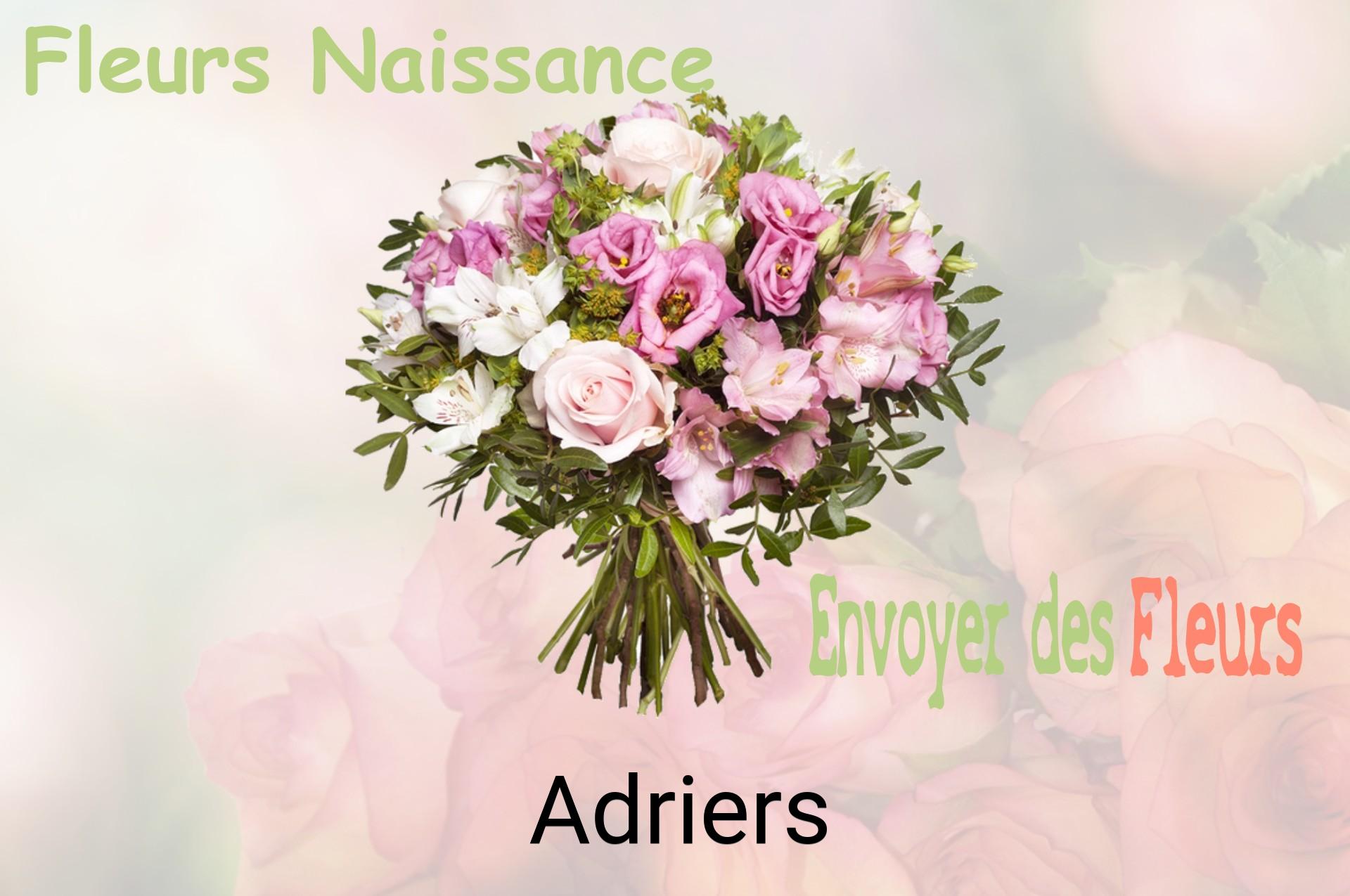 Bouquet de fleurs de naissance livré à Adriers
